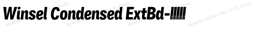 Winsel Condensed ExtBd字体转换
